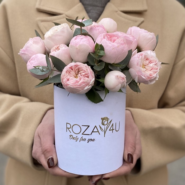 5 кустовых пионовидных роз Мансфилд Парк в коробке