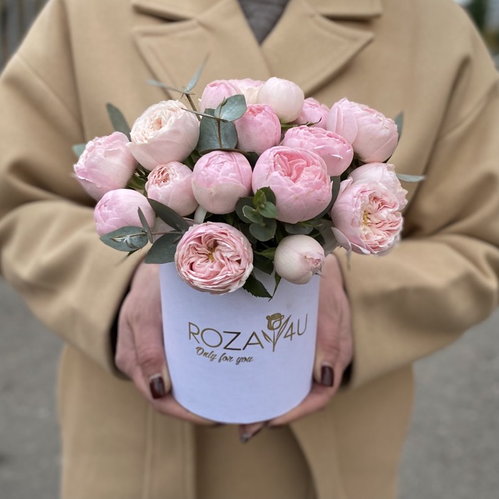 5 кустовых пионовидных роз Мансфилд Парк в коробке