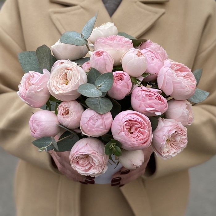 5 кустовых пионовидных роз Мансфилд Парк в коробке