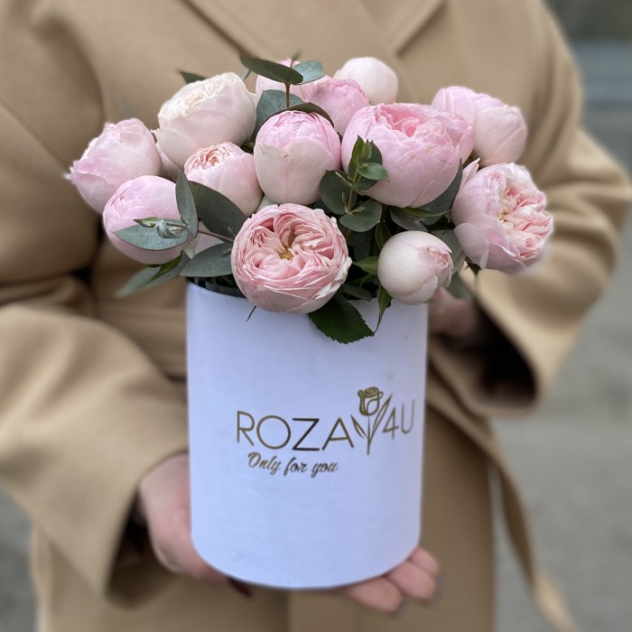 5 кустовых пионовидных роз Мансфилд Парк в коробке