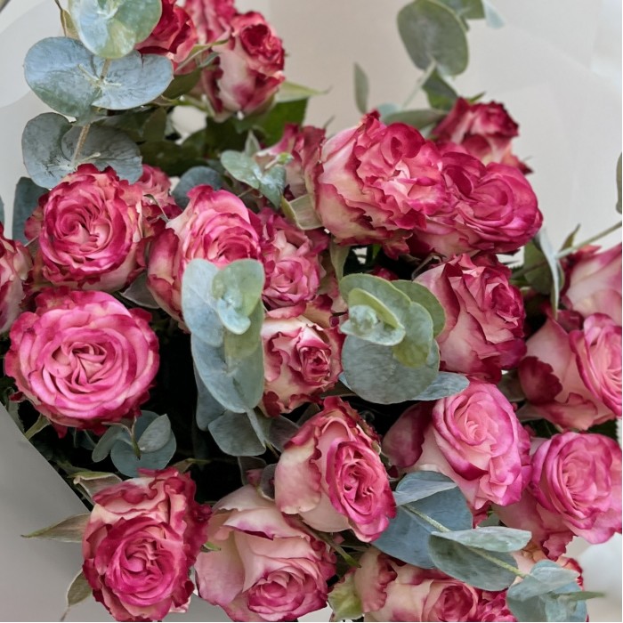 5 кустовых пионовидных роз Сансет Мэджик 50 см с эвкалиптом