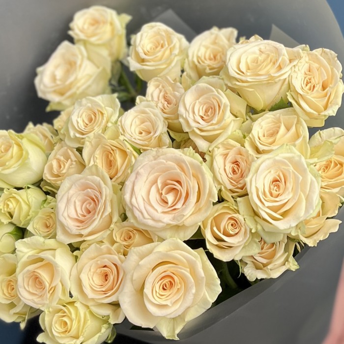 5 кустовых роз Аксана 70 см