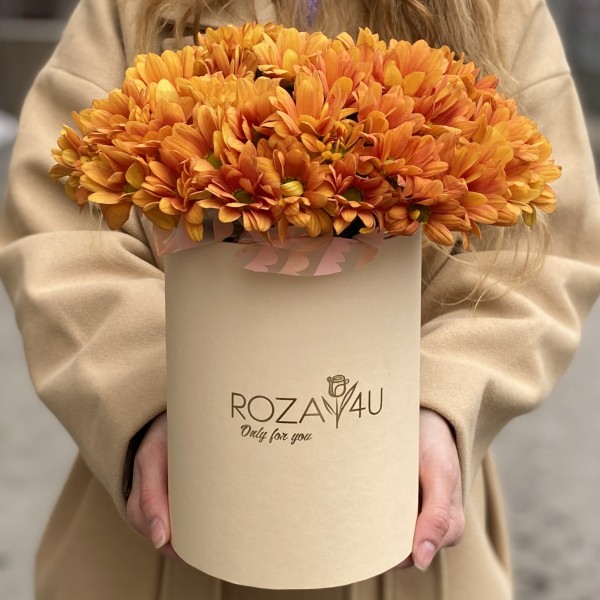 5 оранжевых хризантем в коробке