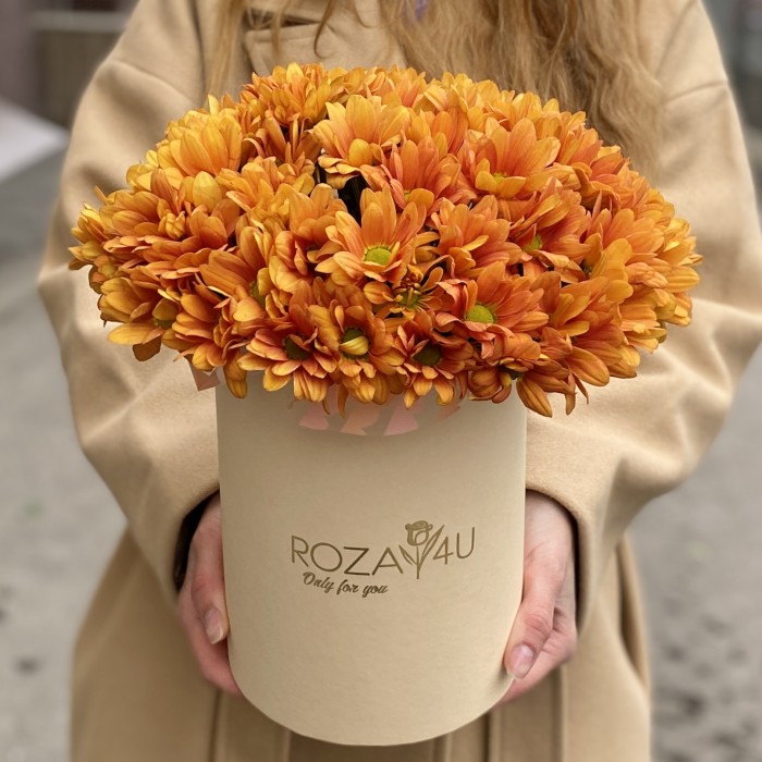 5 оранжевых хризантем в коробке