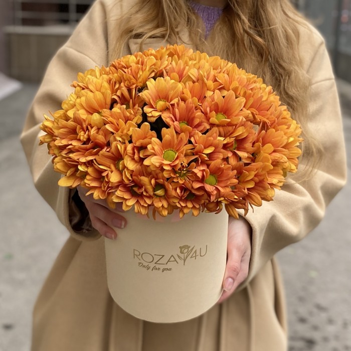 5 оранжевых хризантем в коробке