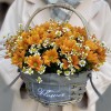 5 оранжевых кустовых хризантем с ромашкой в корзине