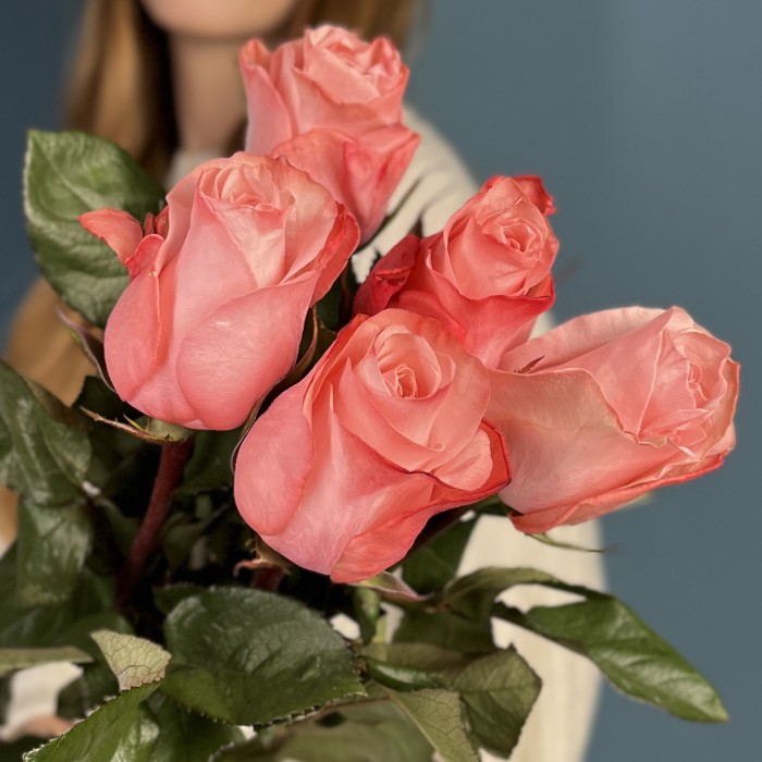 5 розовых роз Би Свит 80 см