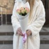 5 нежно-розовых роз Топ-гир 50 см