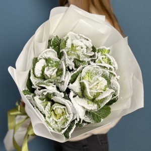 5 заснеженных брассики