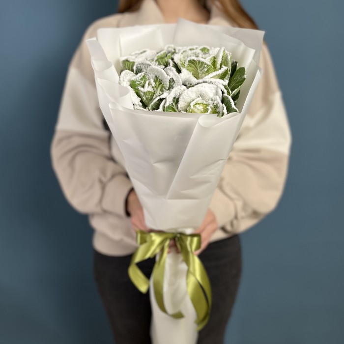 5 заснеженных брассики