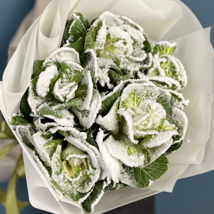5 заснеженных брассики