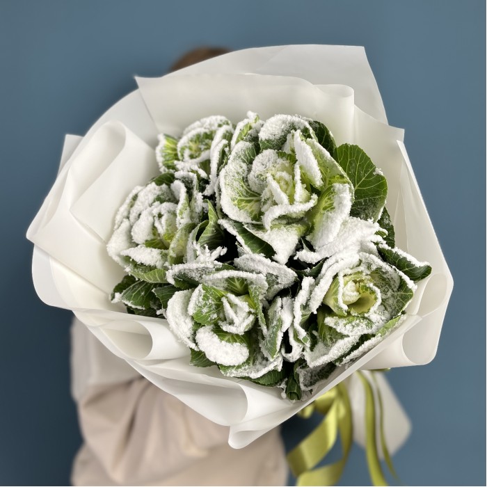 5 заснеженных брассики