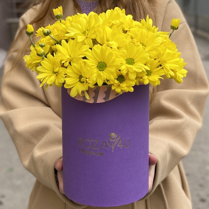 5 желтых хризантем в коробке