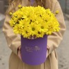 5 желтых хризантем в коробке
