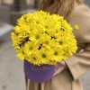 5 желтых хризантем в коробке