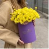 5 желтых хризантем в коробке