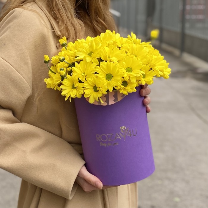 5 желтых хризантем в коробке