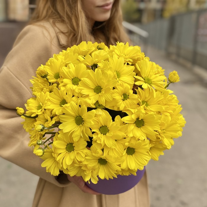 5 желтых хризантем в коробке