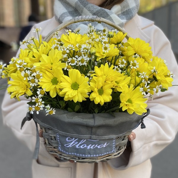 5 желтых кустовых хризантем Бакарди с ромашкой в корзине