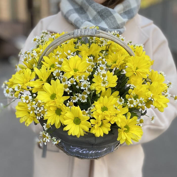 5 желтых кустовых хризантем Бакарди с ромашкой в корзине