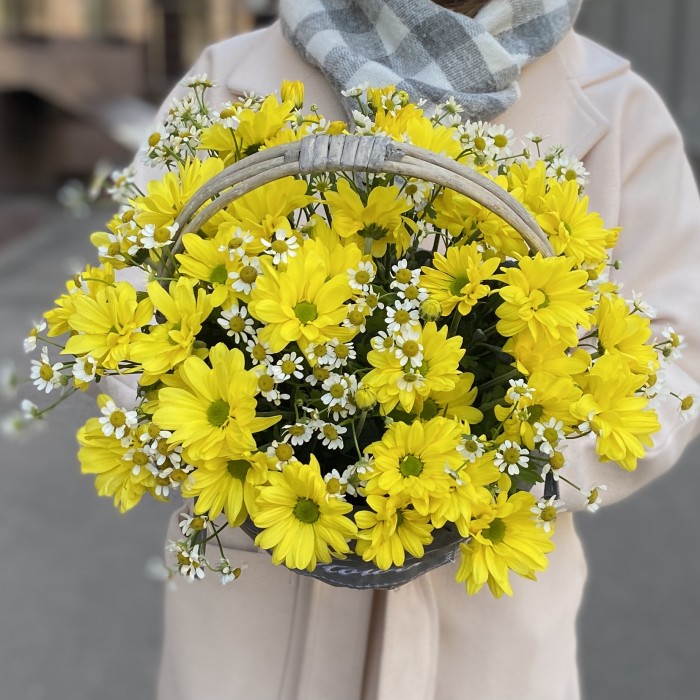5 желтых кустовых хризантем Бакарди с ромашкой в корзине