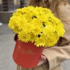 5 желтых кустовых хризантем Балтика в коробке