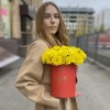 5 желтых кустовых хризантем Балтика в коробке