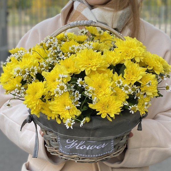 5 желтых кустовых хризантем с ромашкой в корзине