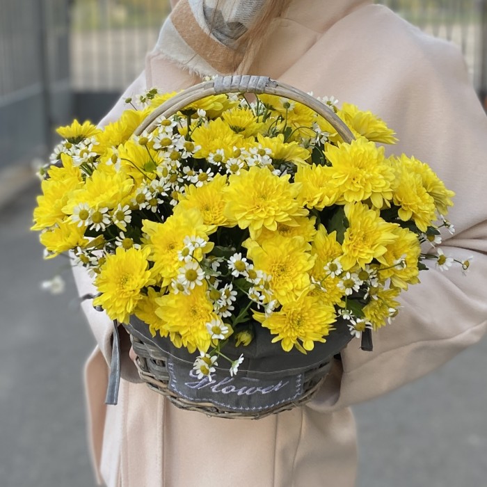 5 желтых кустовых хризантем с ромашкой в корзине