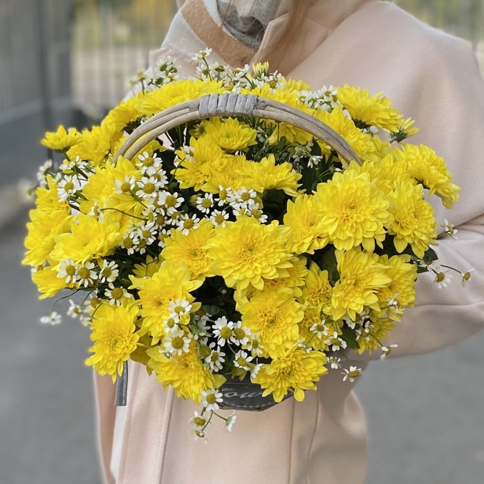 5 желтых кустовых хризантем с ромашкой в корзине