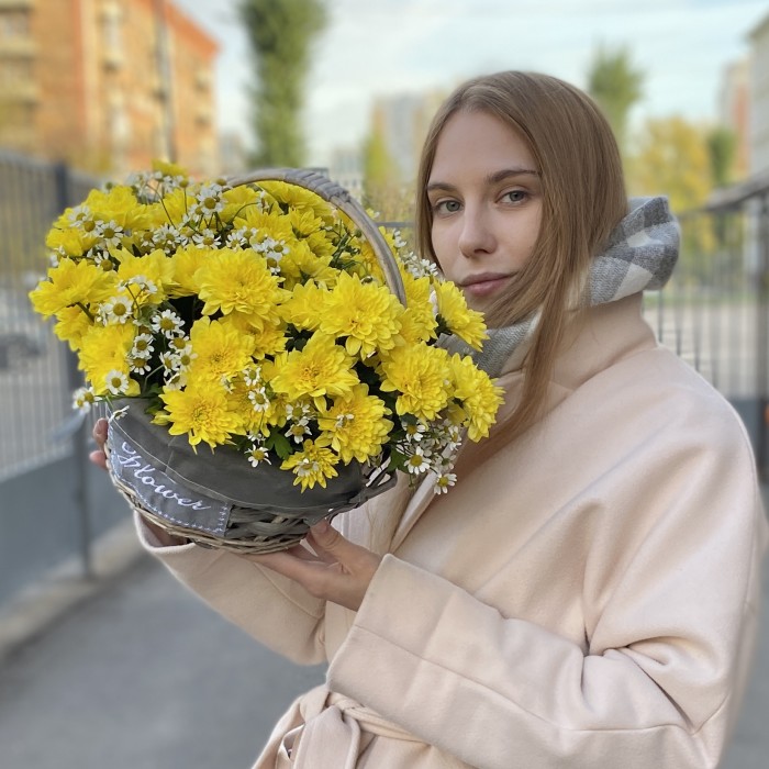 5 желтых кустовых хризантем с ромашкой в корзине