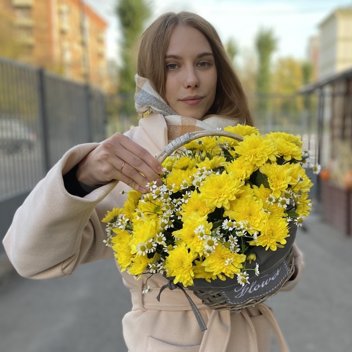 5 желтых кустовых хризантем с ромашкой в корзине