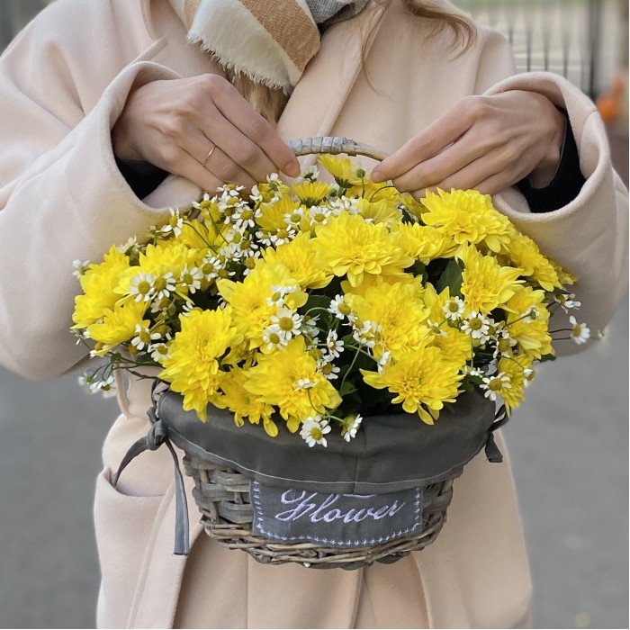 5 желтых кустовых хризантем с ромашкой в корзине