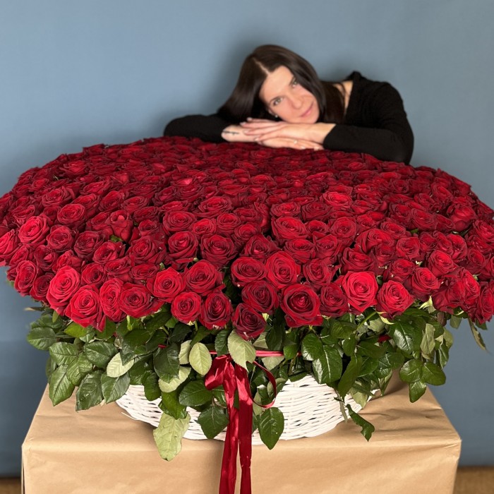 501 ароматная красная роза в корзине
