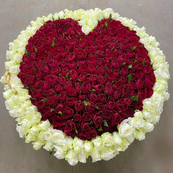 501 Роза Сердце