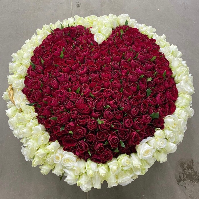 501 Роза Сердце