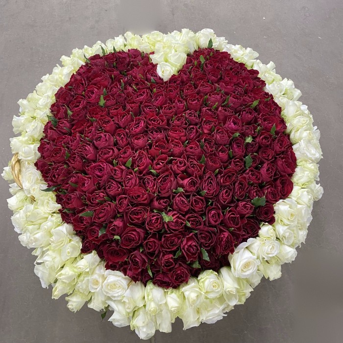 501 Роза Сердце