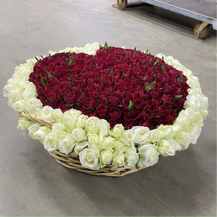 501 Роза Сердце