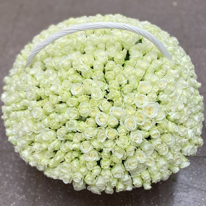 501 белая роза в корзине