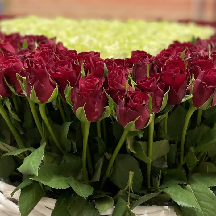 501 роза Сердце в корзине