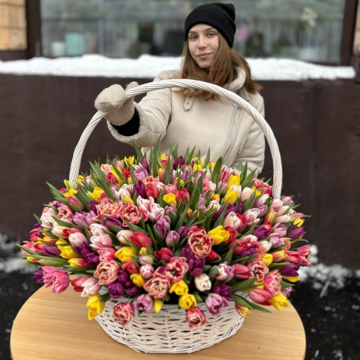 501 яркий тюльпан в корзине