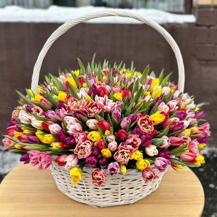 501 яркий тюльпан в корзине