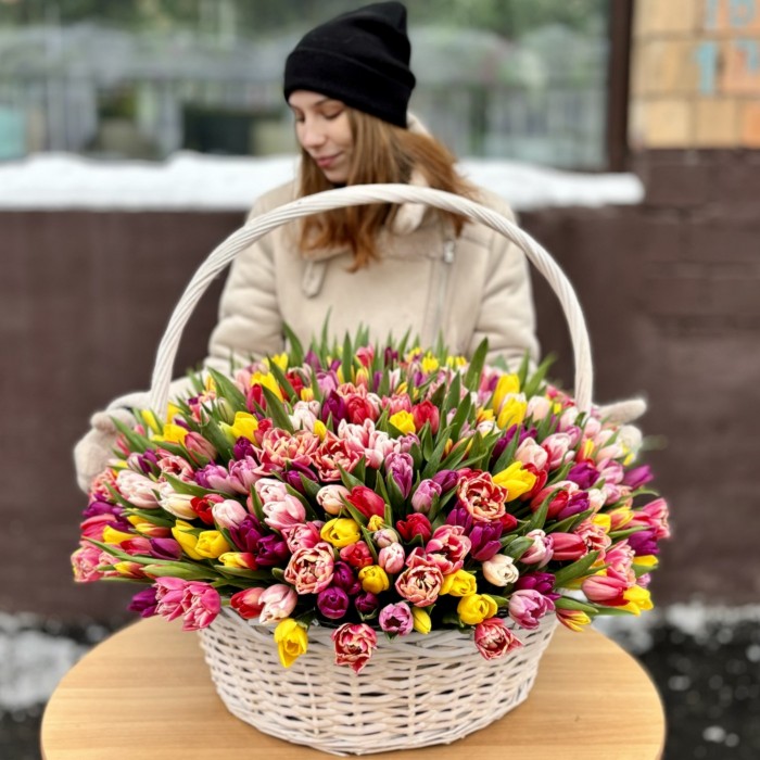 501 яркий тюльпан в корзине