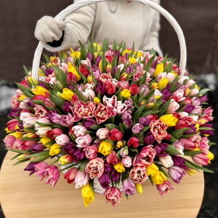 501 яркий тюльпан в корзине