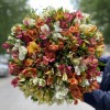 51 Альстромерия микс