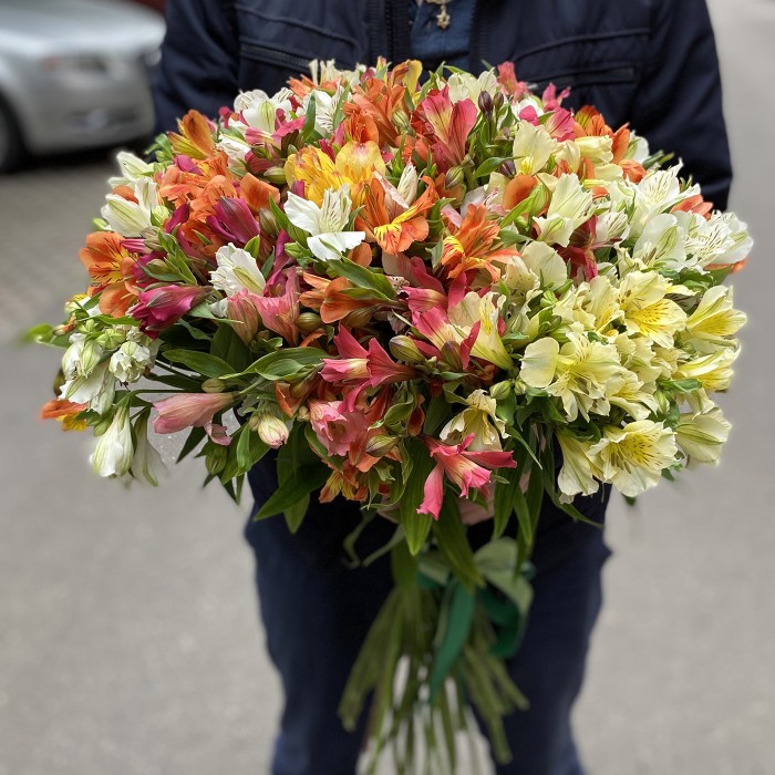 51 Альстромерия микс