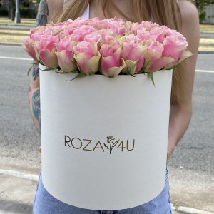 51 роза Бел-роз в коробке