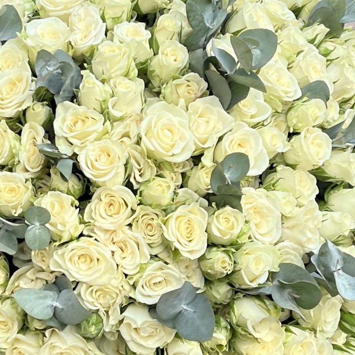 51 белая кустовая роза Сноуфлейк с эвкалиптом