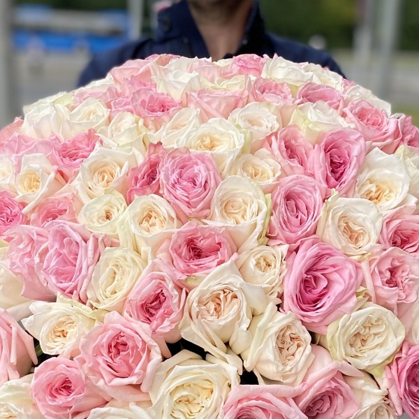 101 ароматная пионовидная роза