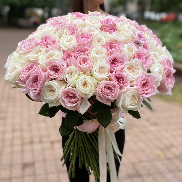 101 ароматная пионовидная роза